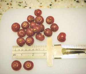 [image description: a handful of berries against a ruler measuring their size]