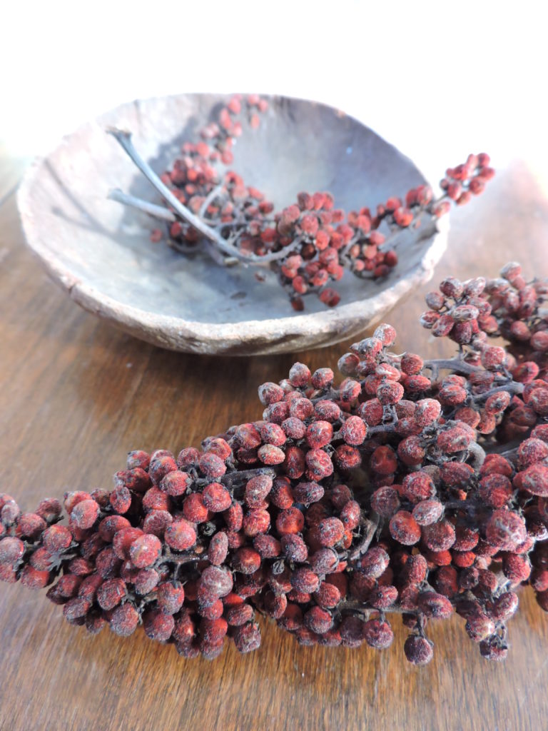 [image description: A sumac fruit cluster on a table with a clay bowl]