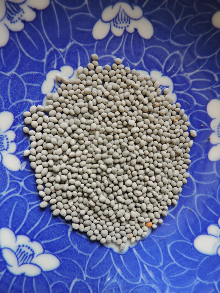 [image description: anti-fungal coated clover seeds in a bowl]