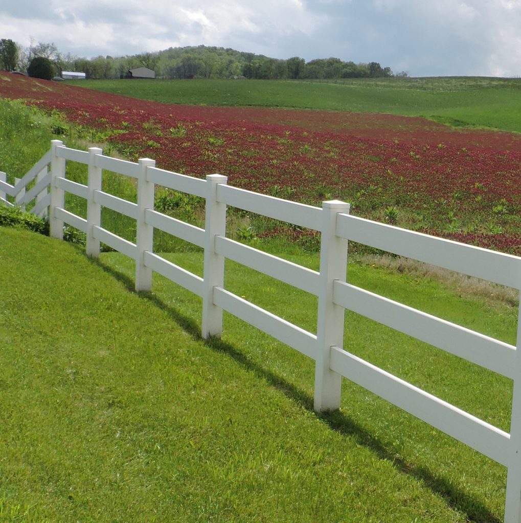 [image description: an agricultural field of crimson clover behind a white farm fence]